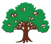 Lightmoor Village Primary School